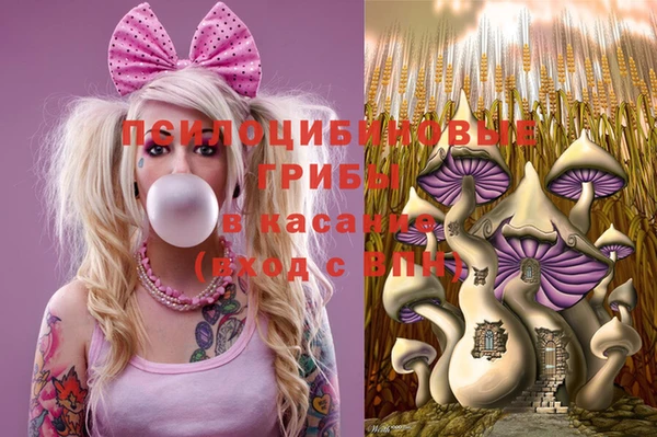 ALPHA PVP Алексин