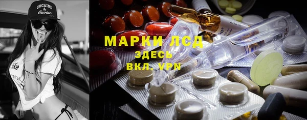 спиды Алзамай