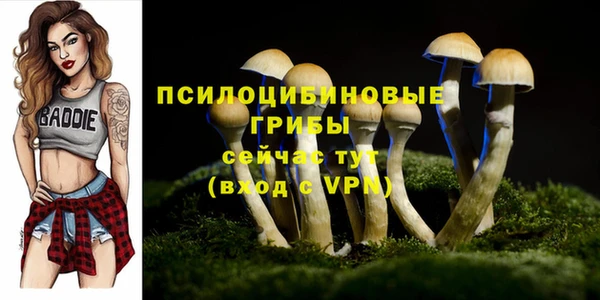 ALPHA PVP Алексин